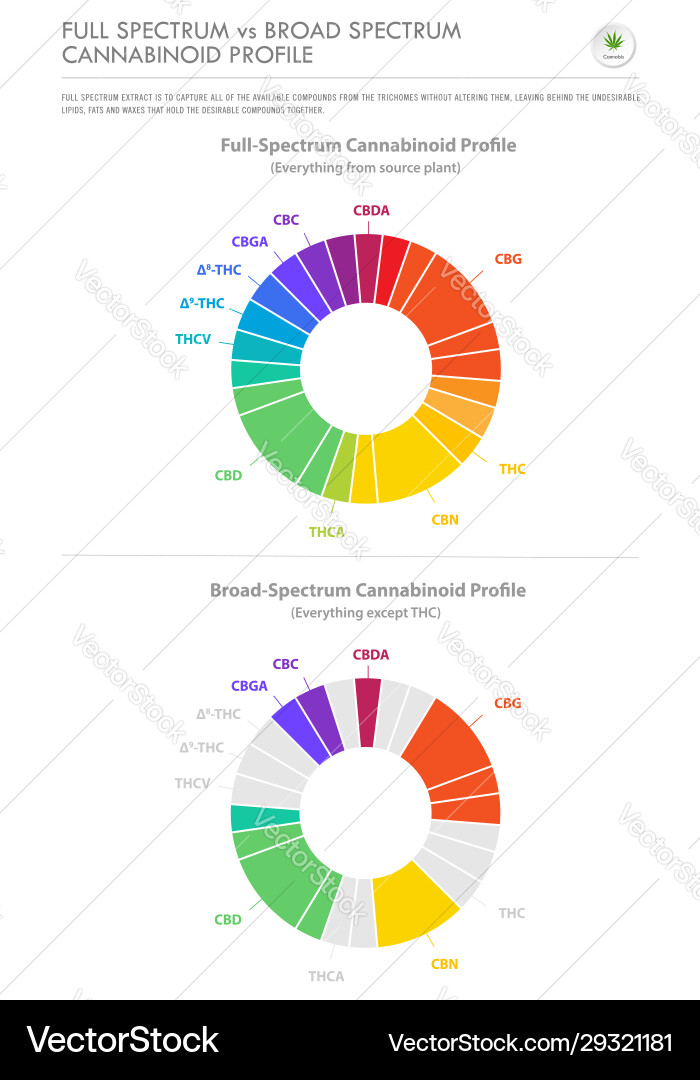 Full Spectrum vs. Broad Spectrum Cannabinoids Vector Image