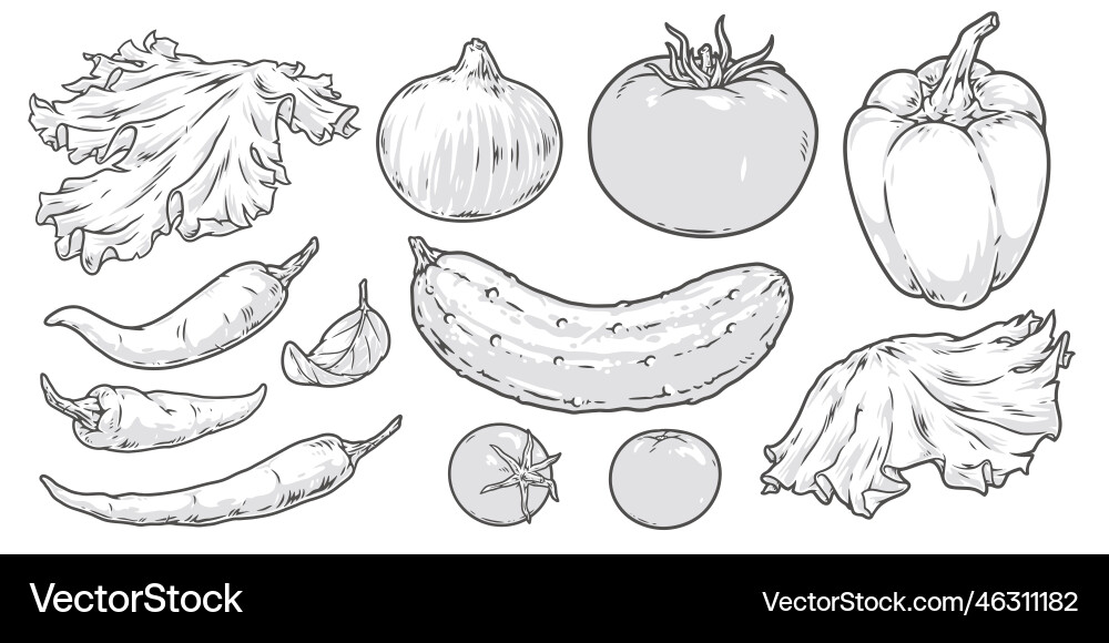 Fresh vegetables set stickers monochrome vector image