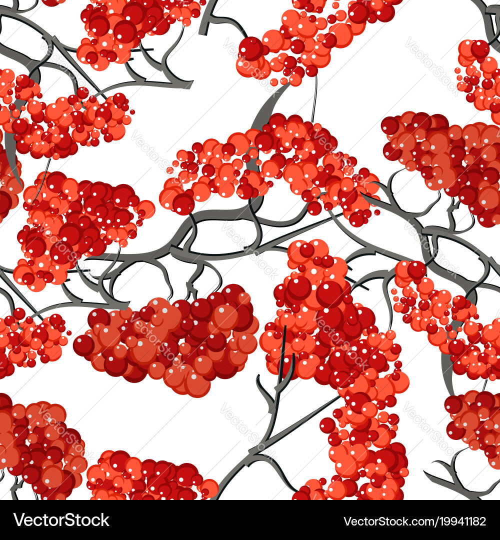 Red rowan seamless pattern vector image