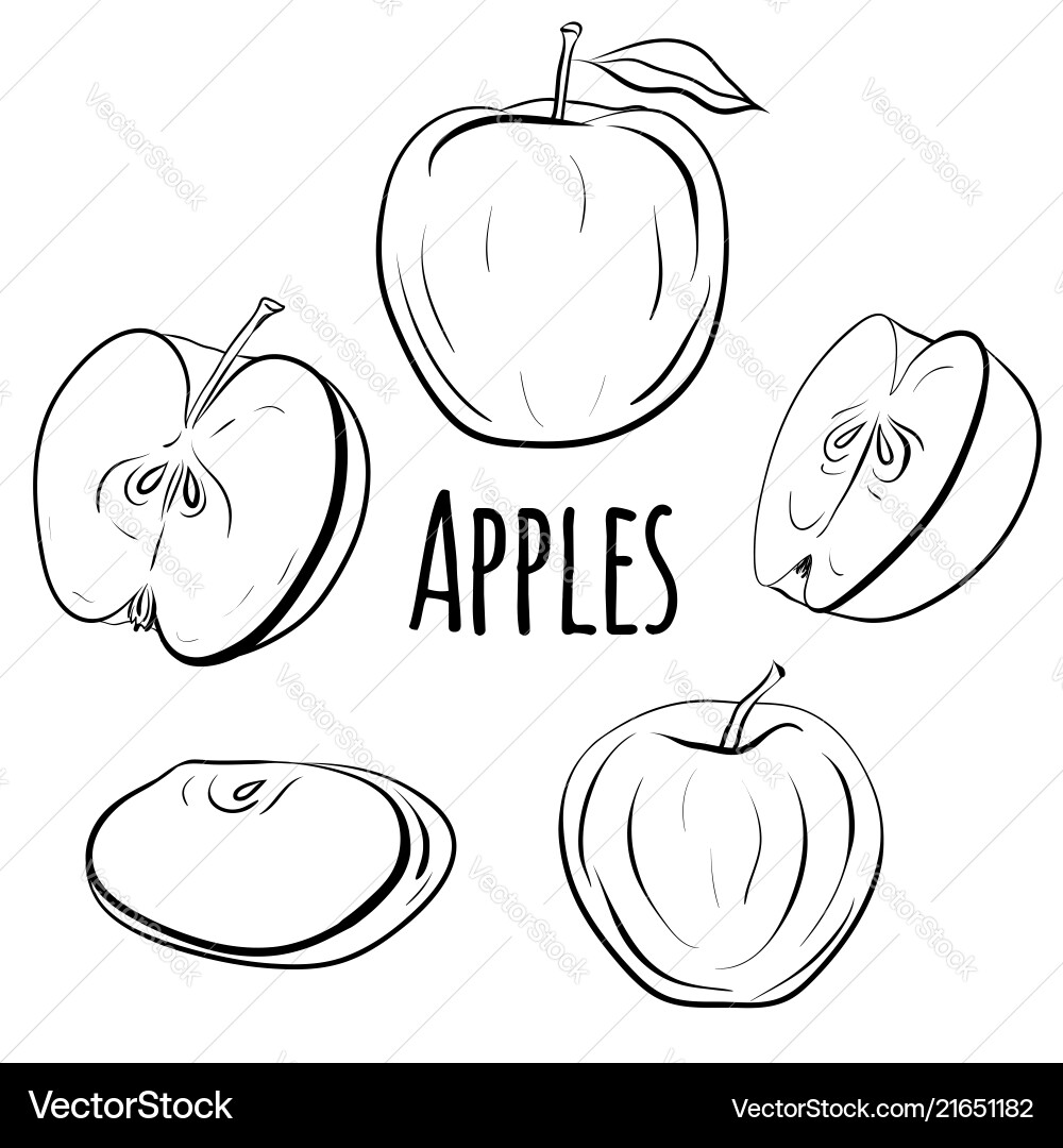 Set of apples different shapes Set of apples different shapes vector image