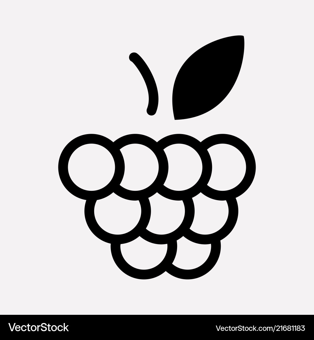 Raspberry icon line element Raspberry icon line element vector image