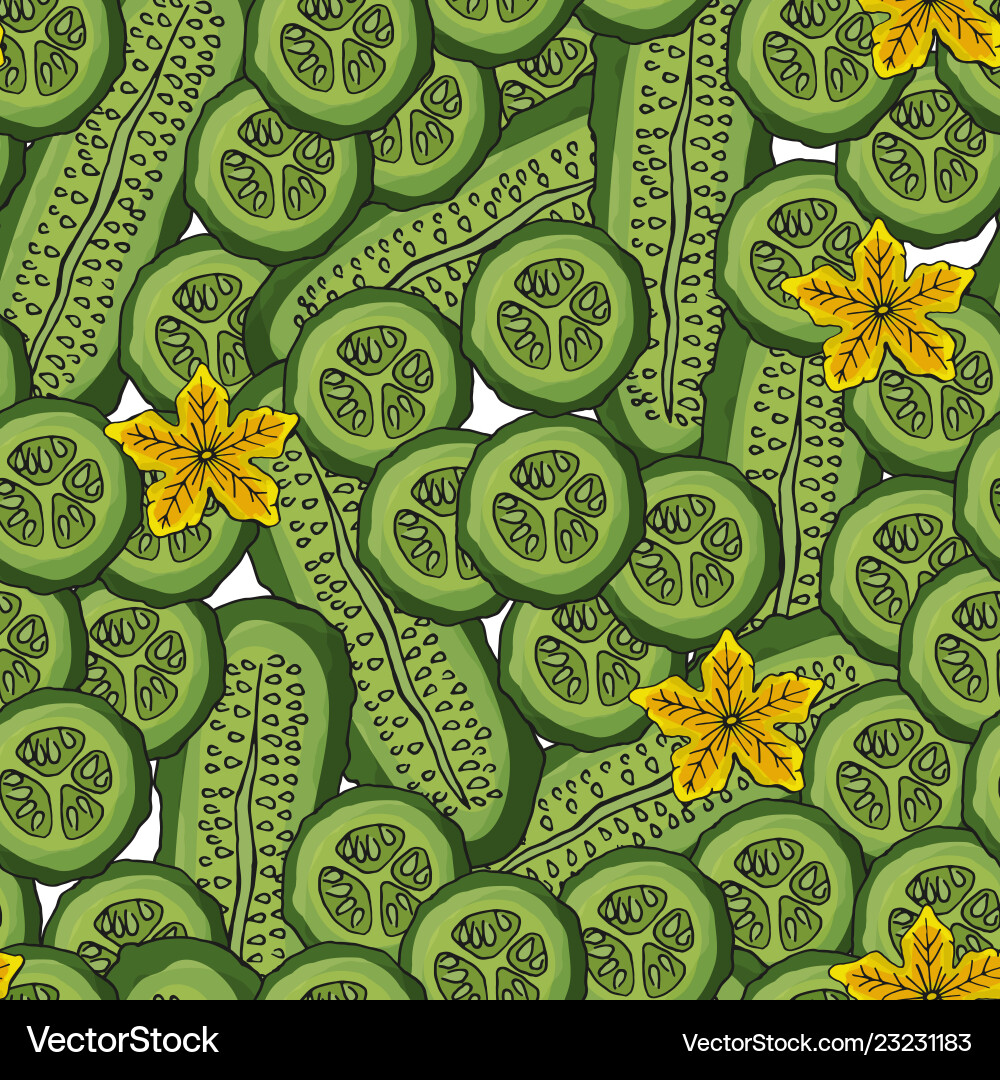 Seamless pattern cucumbers in section endless Seamless pattern cucumbers in section endless vector image