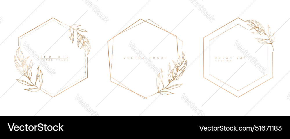 Set of hexagon frame templates in minimal linear vector image