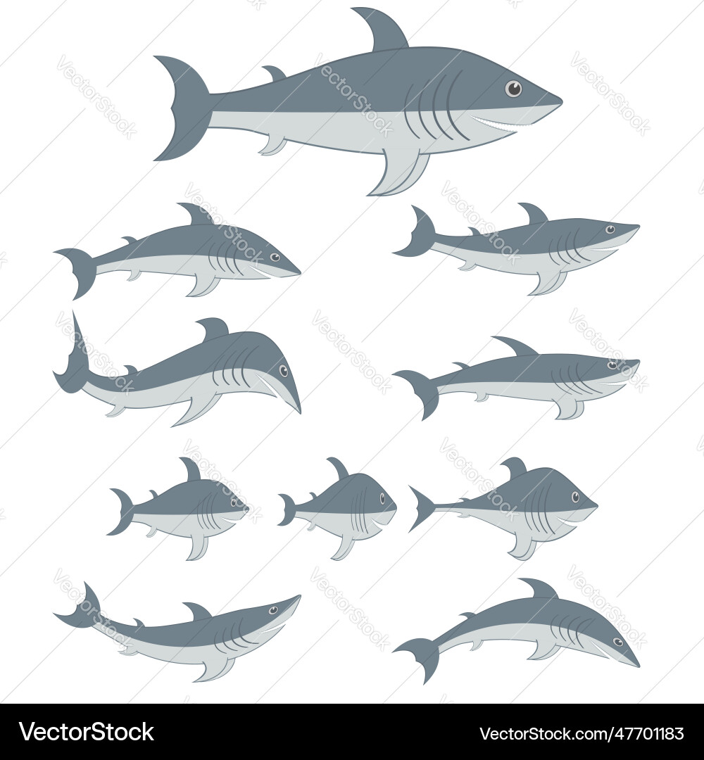Sharks set of different shapes and types Vector Image