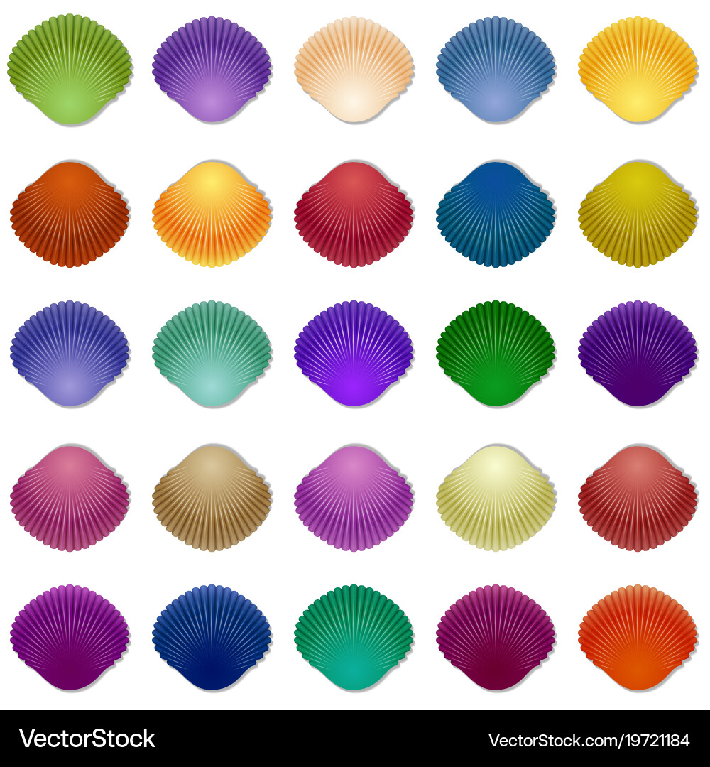 Seamless colorful seashell template background vector image