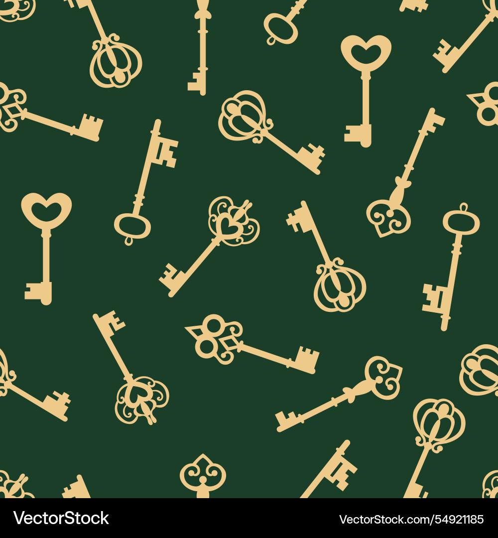 Seamless pattern with keys vector image