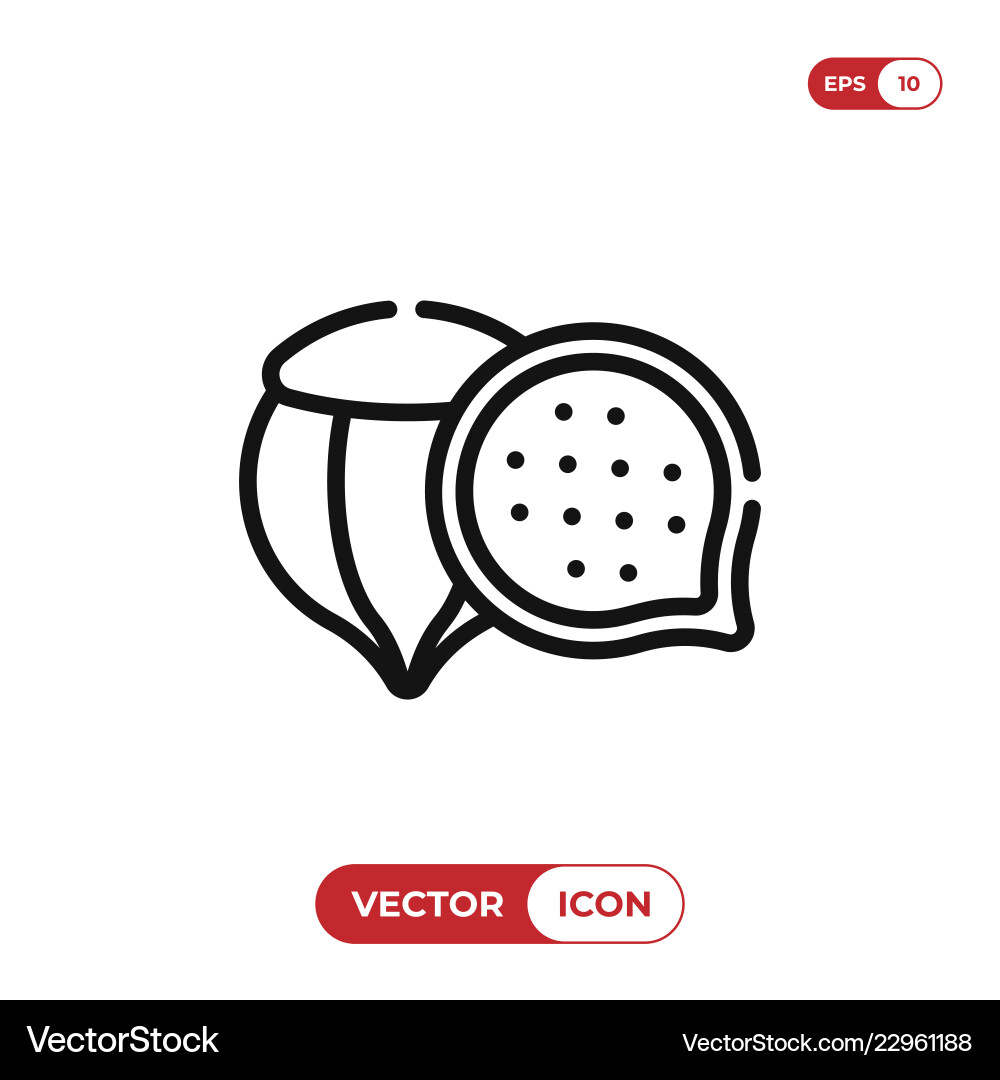 Chestnut icon Chestnut icon vector image