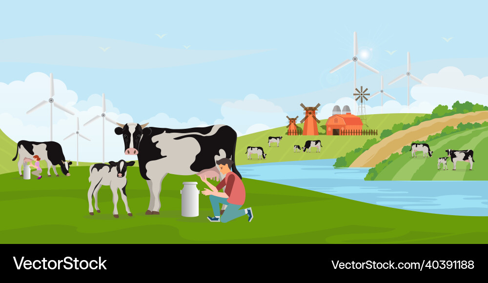 Holstein Cows with Calves in a Field Vector Image