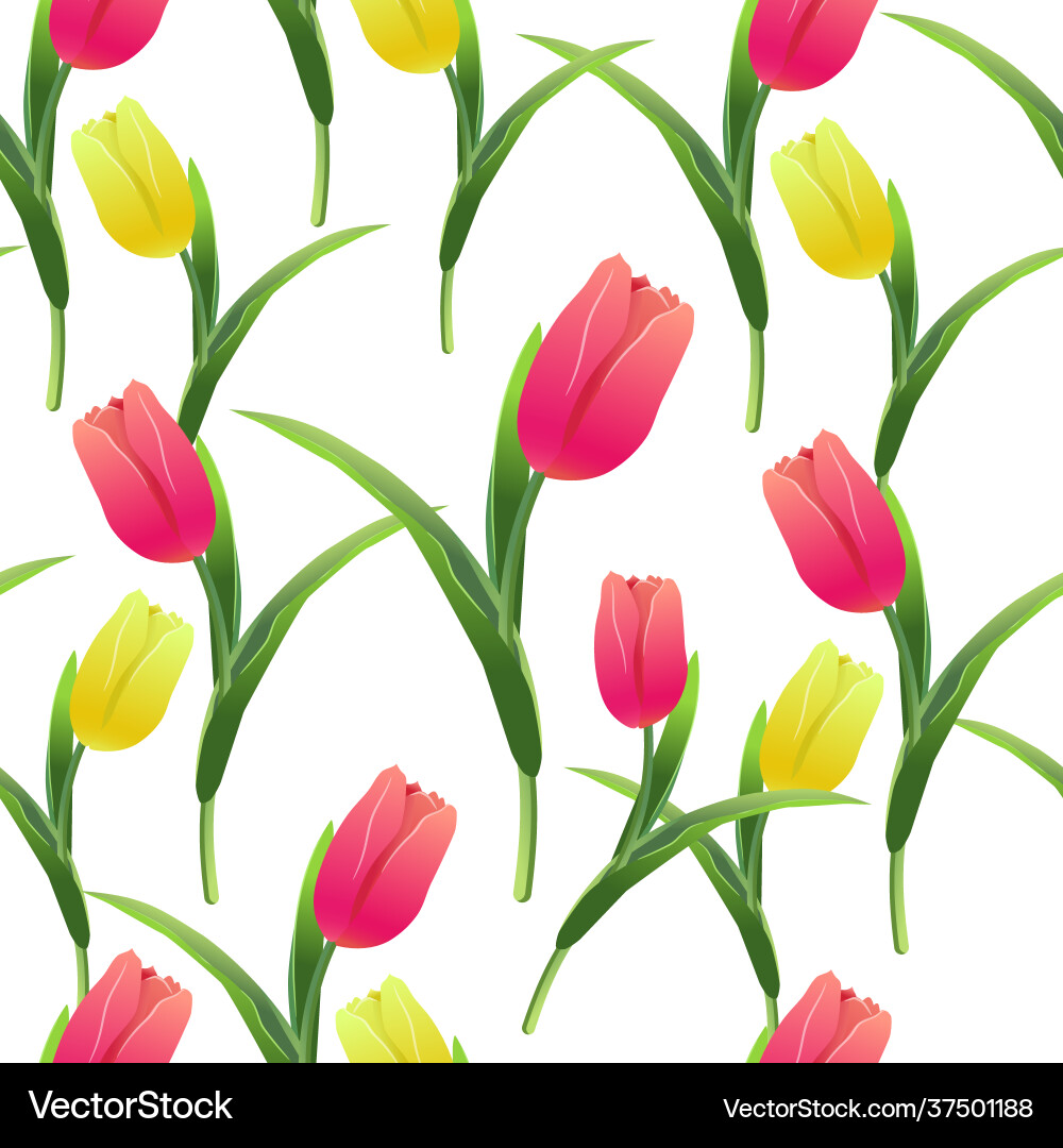 Tulips simless pattern card4-01 Tulips simless pattern card4-01 vector image
