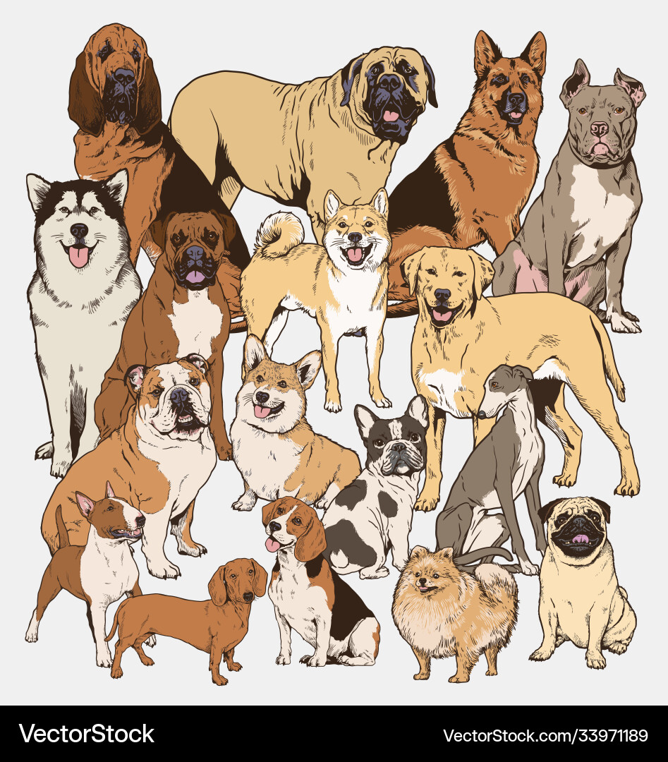 Dog collection Royalty Free Vector Image - VectorStock