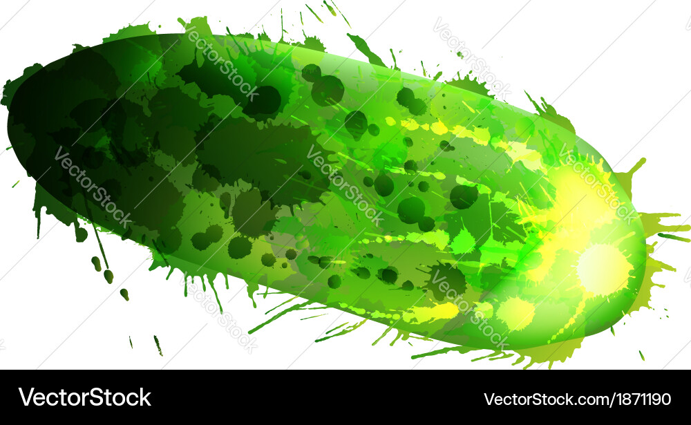 Cucumber made of colorful splashes on whit vector image