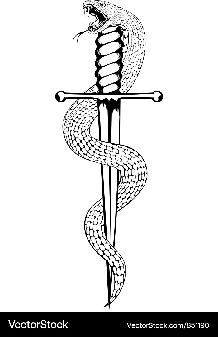 Snake with Dagger vector image