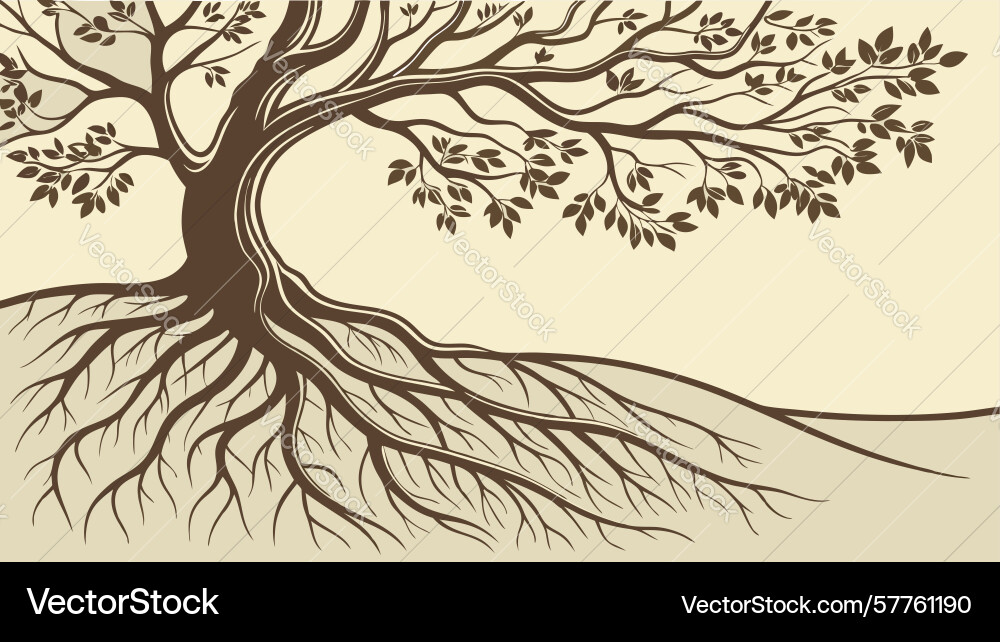 Tree with extensive roots deep connection design vector image