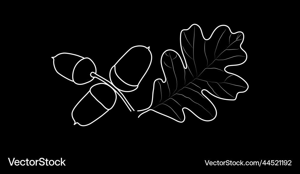 Acorn with a leaf2 Vector Image