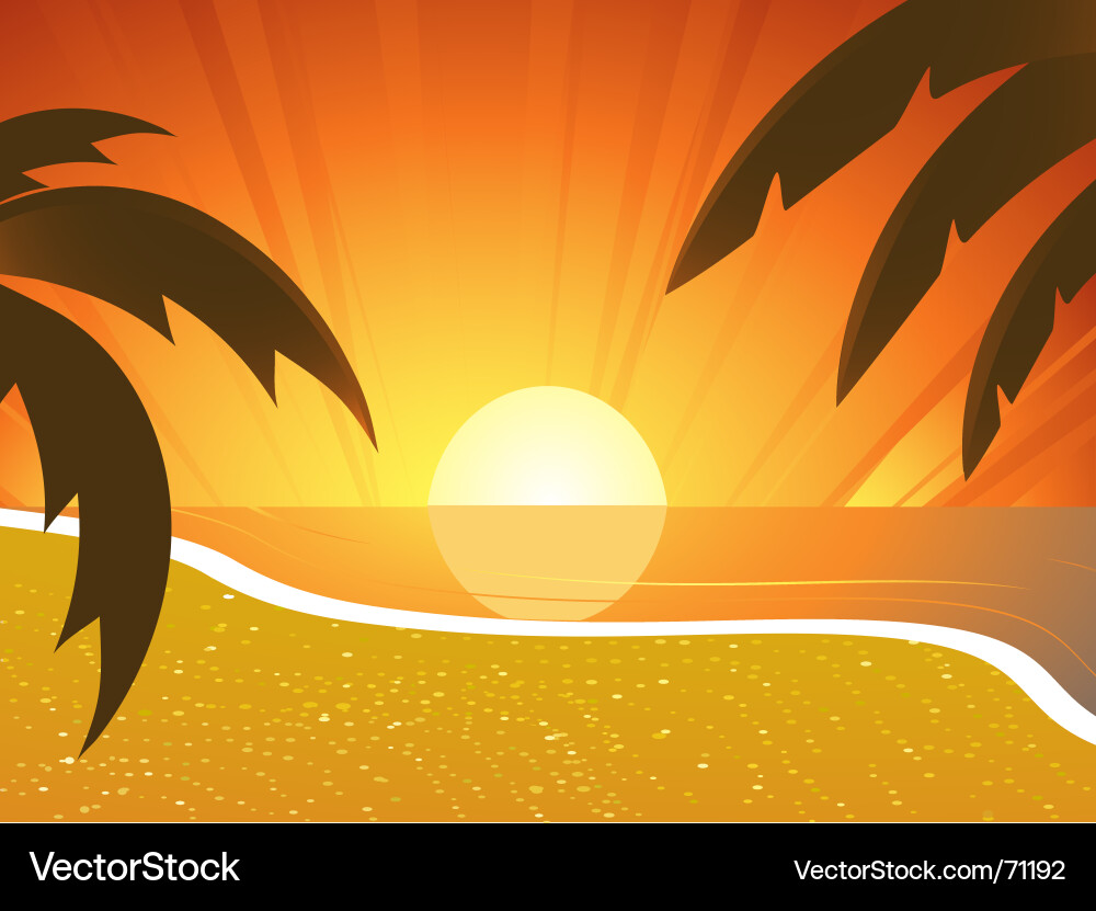 Sunset beach and palm trees Royalty Free Vector Image
