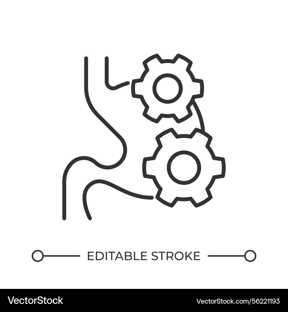 Digestion system line icon Digestion system line icon vector image