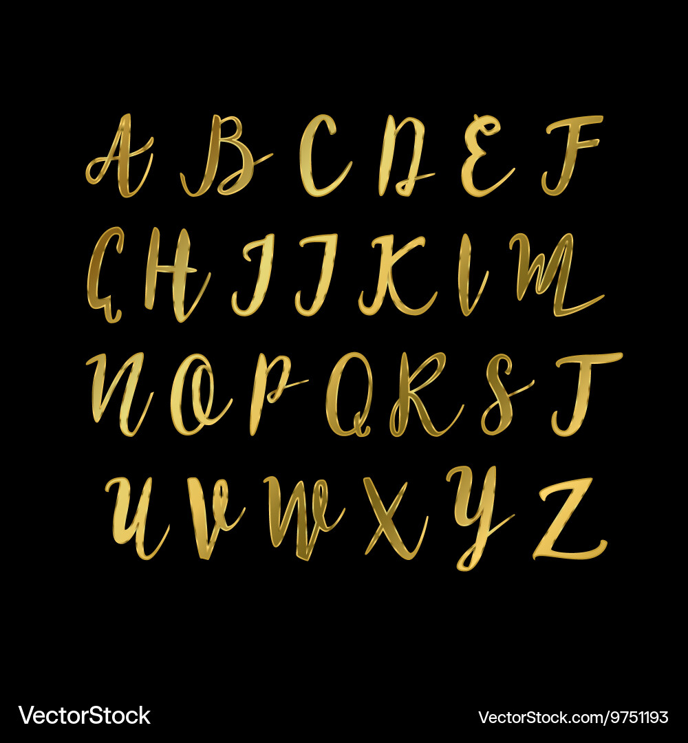 Hand drawn modern script vector image