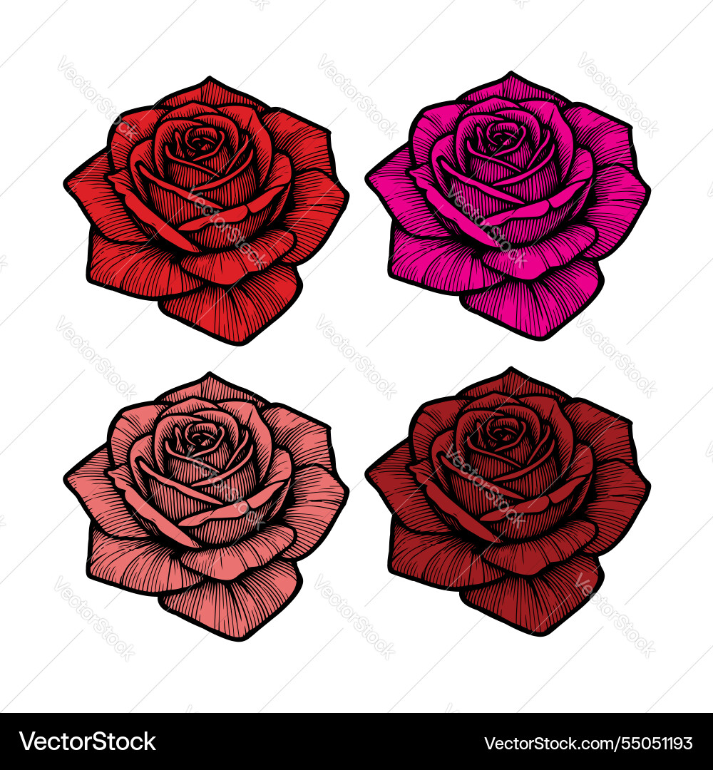 Rose artwork Royalty Free Vector Image - VectorStock