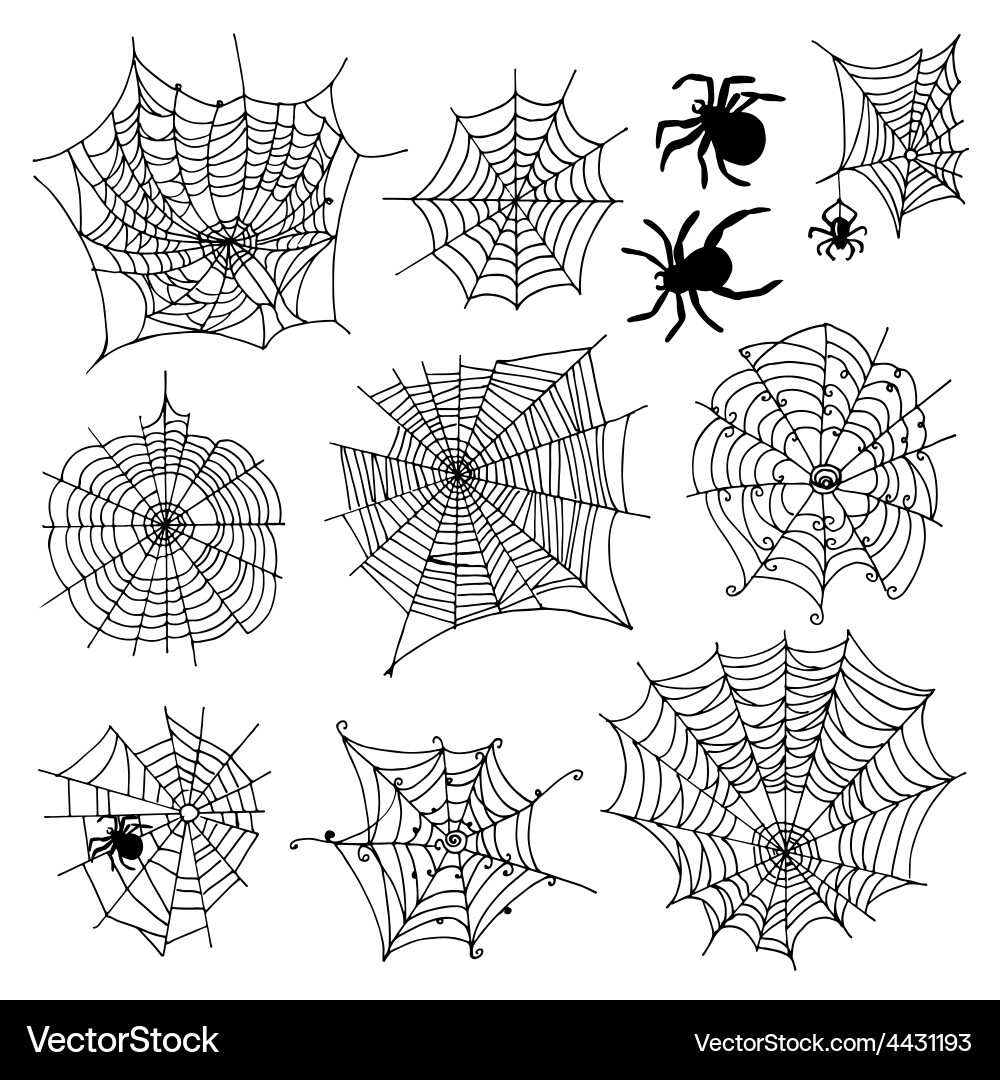 Spiderweb Collection - 10 Web Designs Vector Image