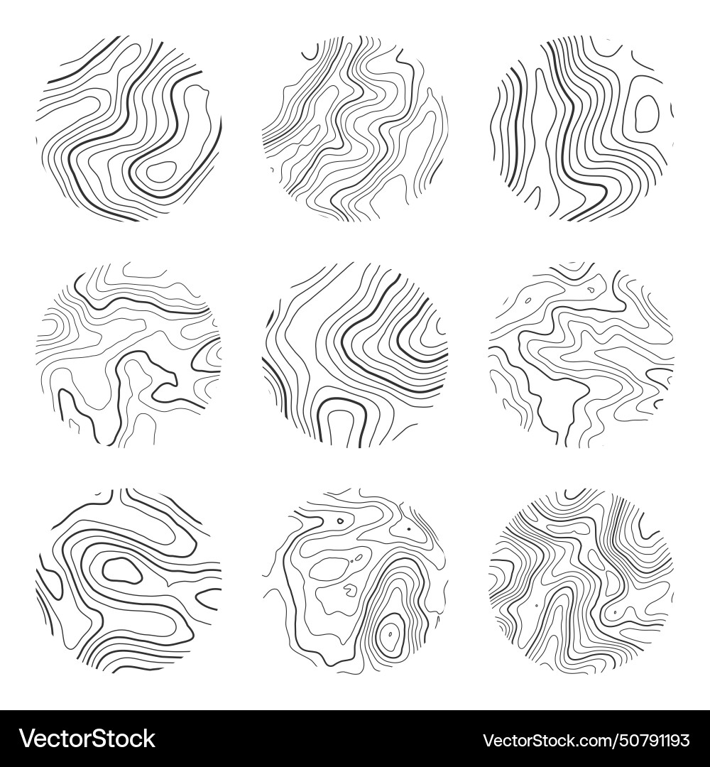 Topographic map with contour lines geographic Topographic map with contour lines geographic vector image