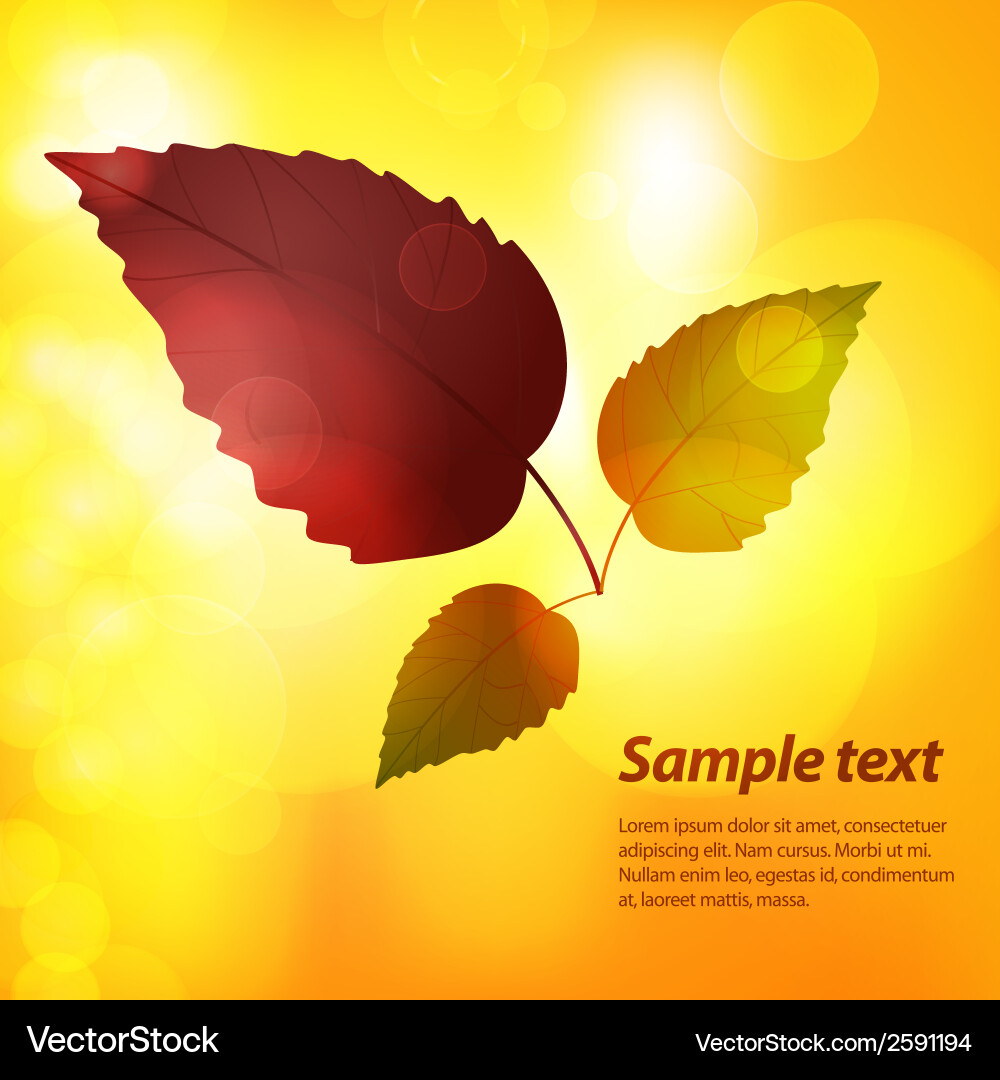 Autumn leaf background with sample text Vector Image
