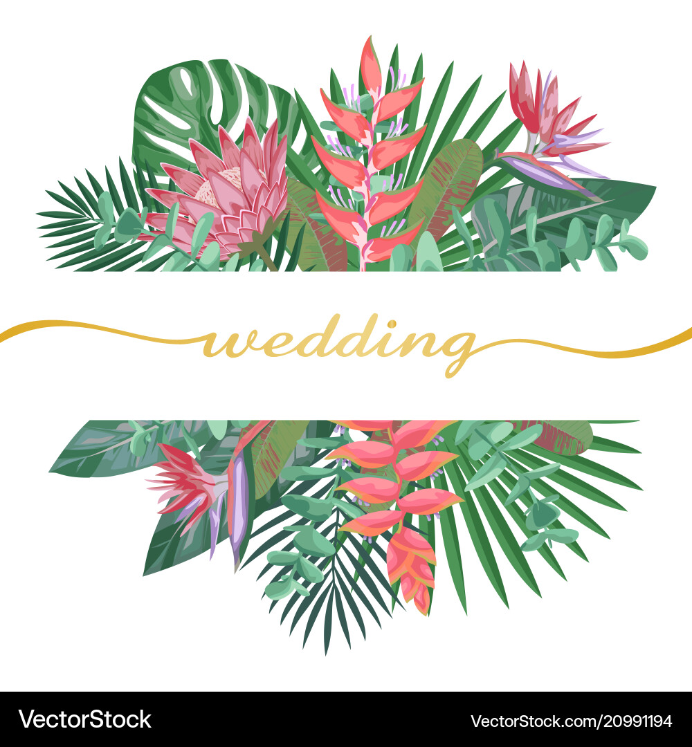 Tropische Hochzeit Einladung Tropische Hochzeit Einladung vektorbild