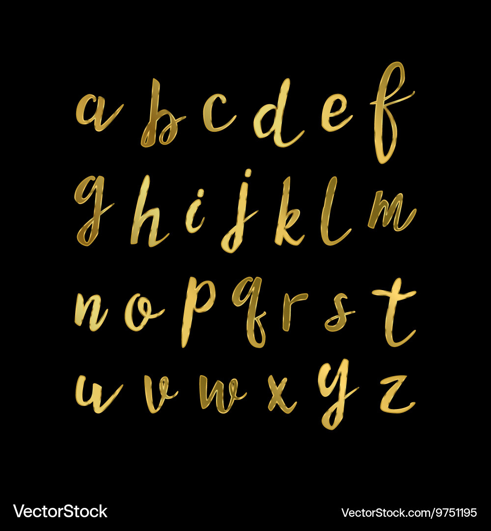 Hand drawn modern script vector image