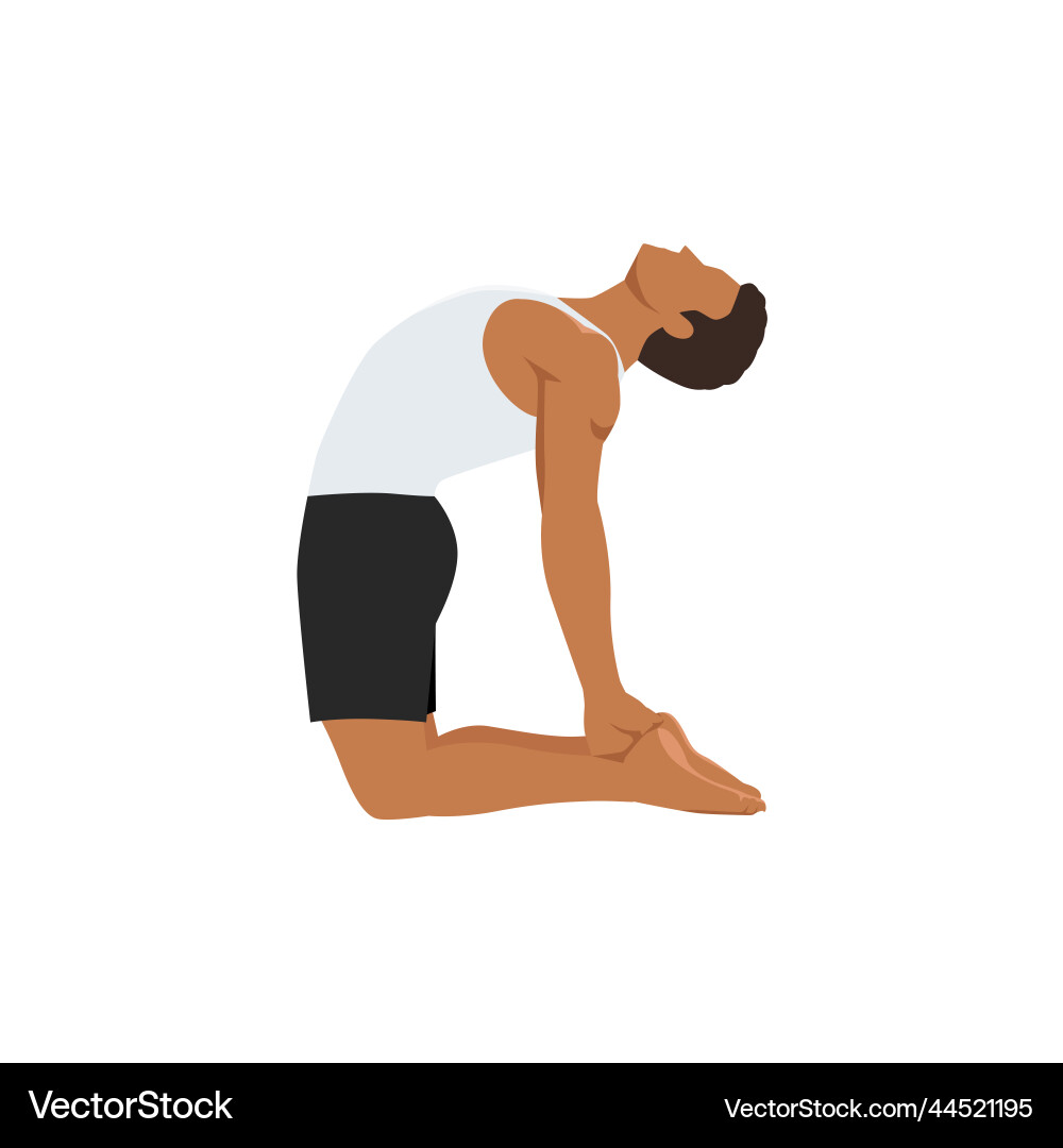 Man doing camel pose or ustrasana exercise Vector Image
