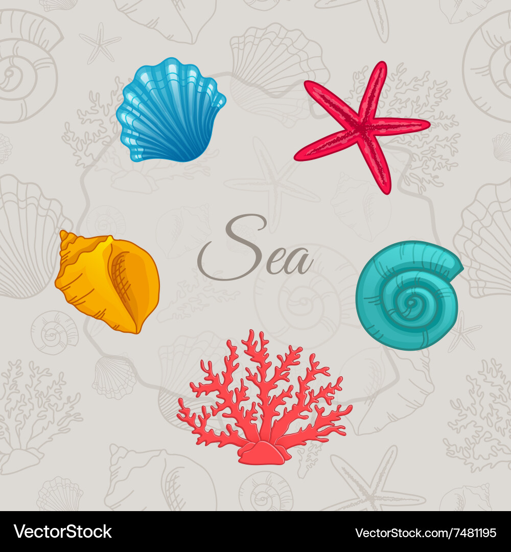 Set of colorful seashells with seamless pattern vector image