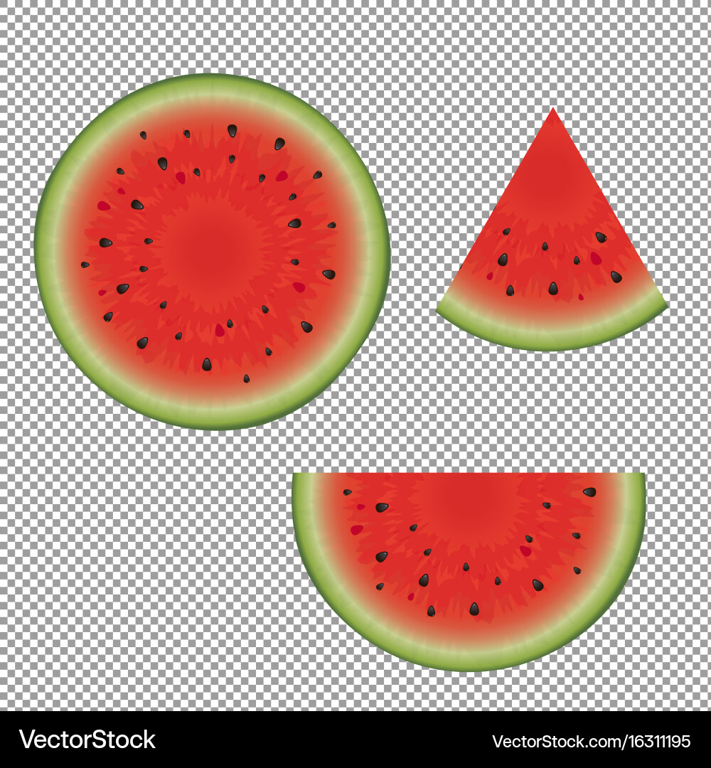 Watermelon Slice Collection Vector Image
