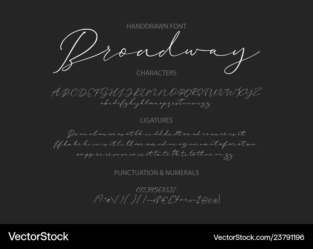 Elegant Script Duo Font vector image