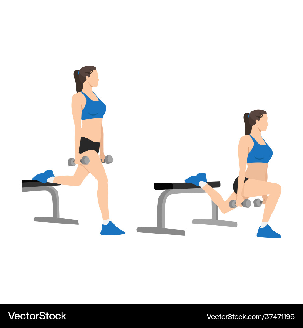 Woman doing bulgarian split squats exercise Woman doing bulgarian split squats exercise vector image