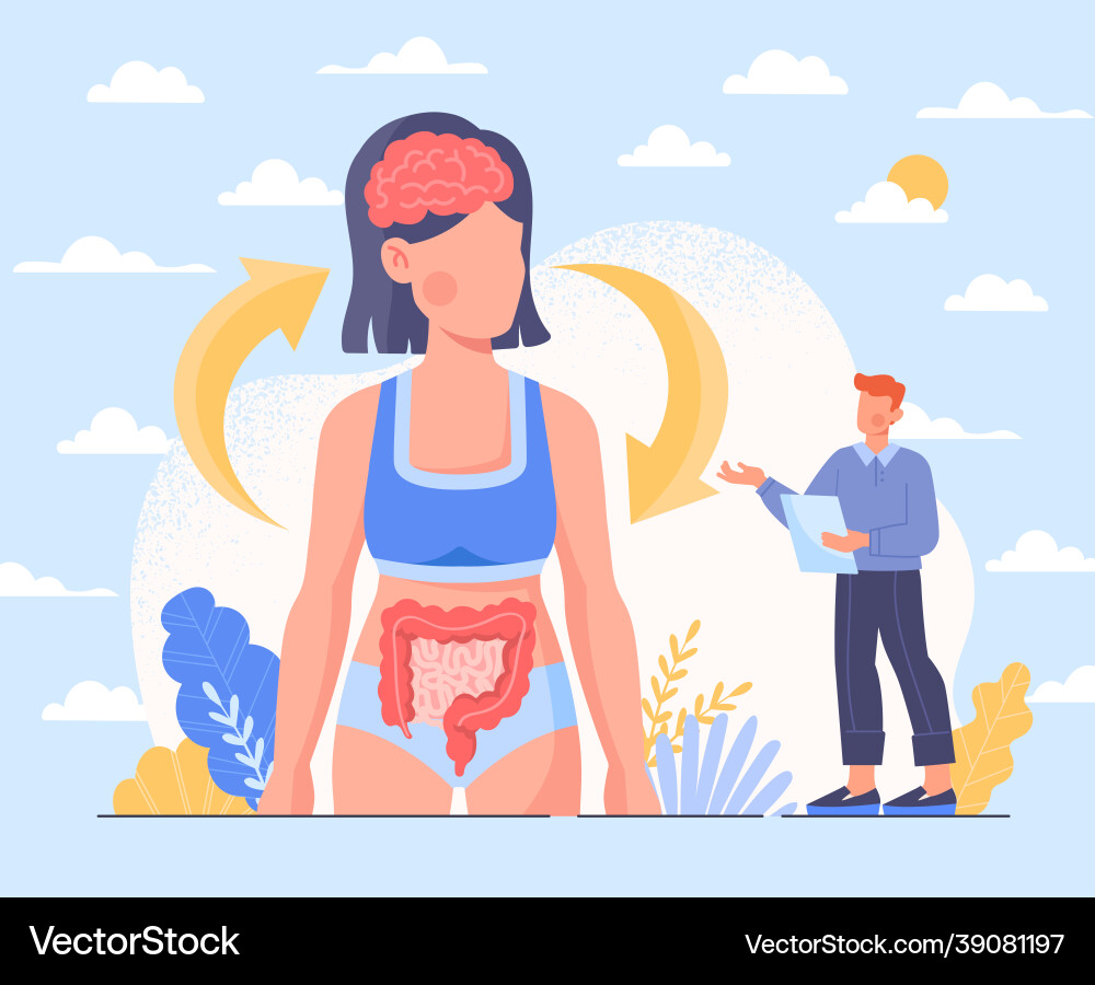Digestive System & Brain Connection vector image