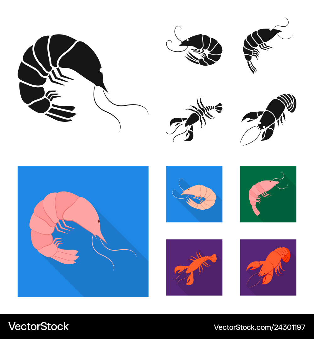 Isolated object of appetizer and ocean symbol vector image