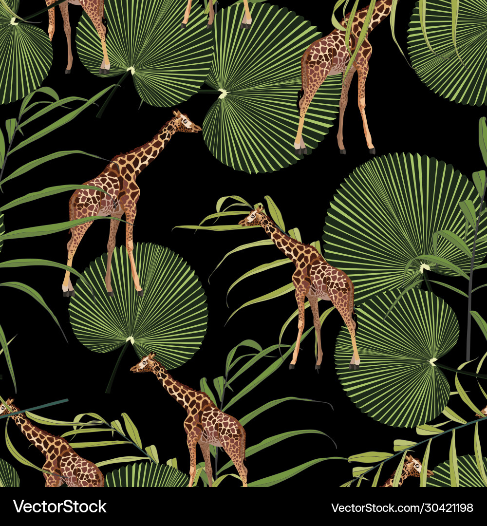 Beautiful tropical giraffe seamless pattern vector image