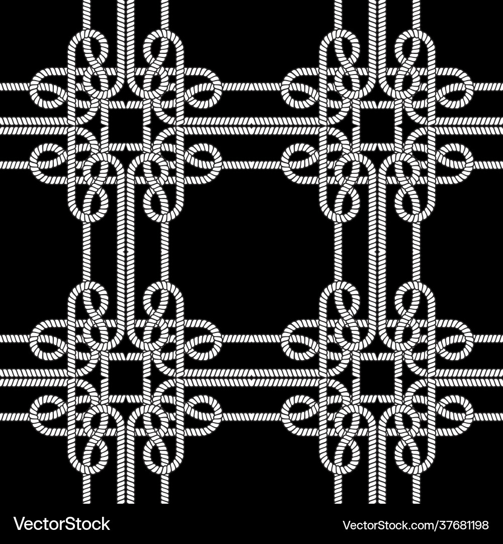 Ropes and strings seamless pattern black Vector Image
