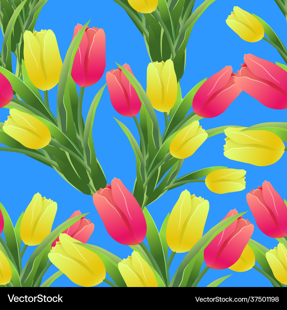 Tulips simless pattern 01-01 Vector Image