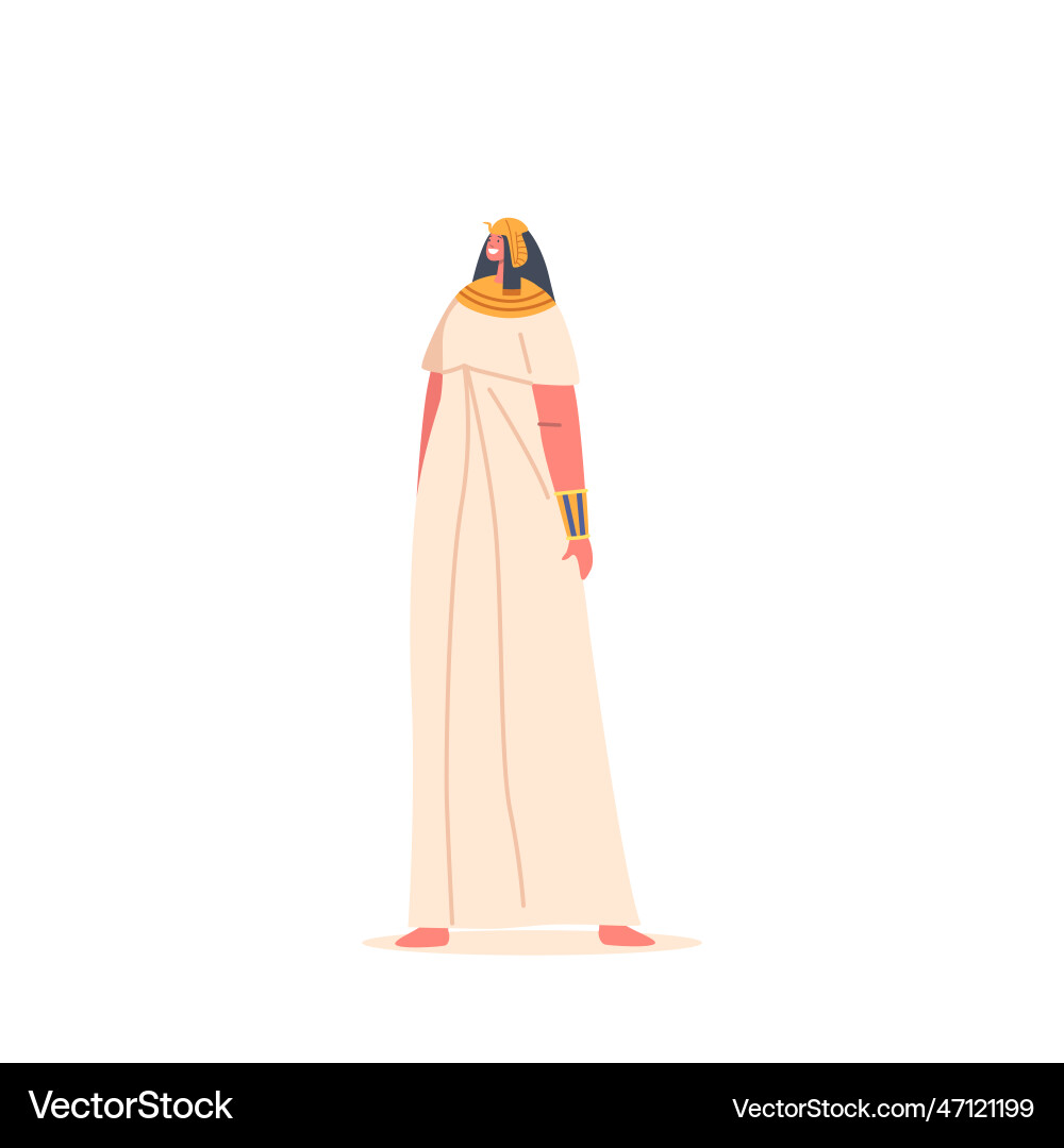 Ancient egyptian woman wear long linen dress wig Ancient egyptian woman wear long linen dress wig vector image