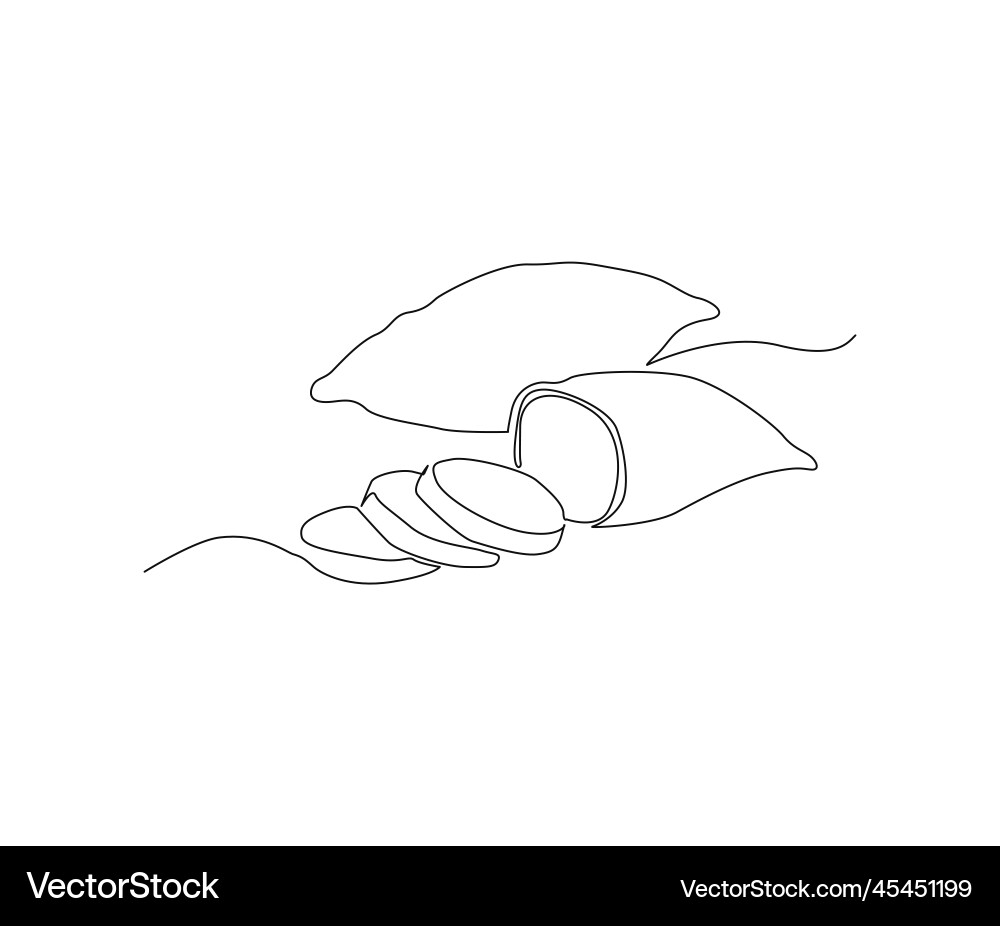 Continuous line art drawing of cassava slice Continuous line art drawing of cassava slice vector image