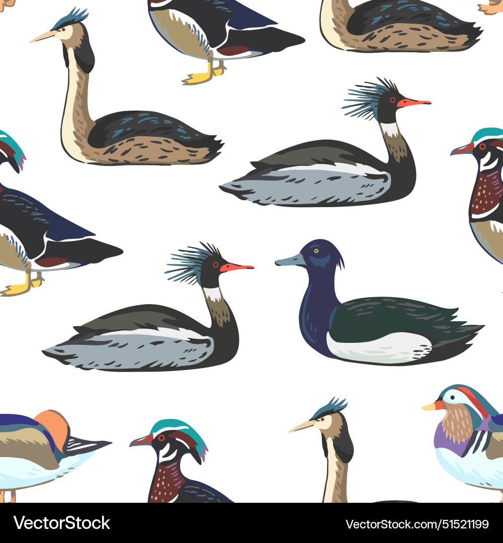 Seamless pattern with waterfowl different types Vector Image