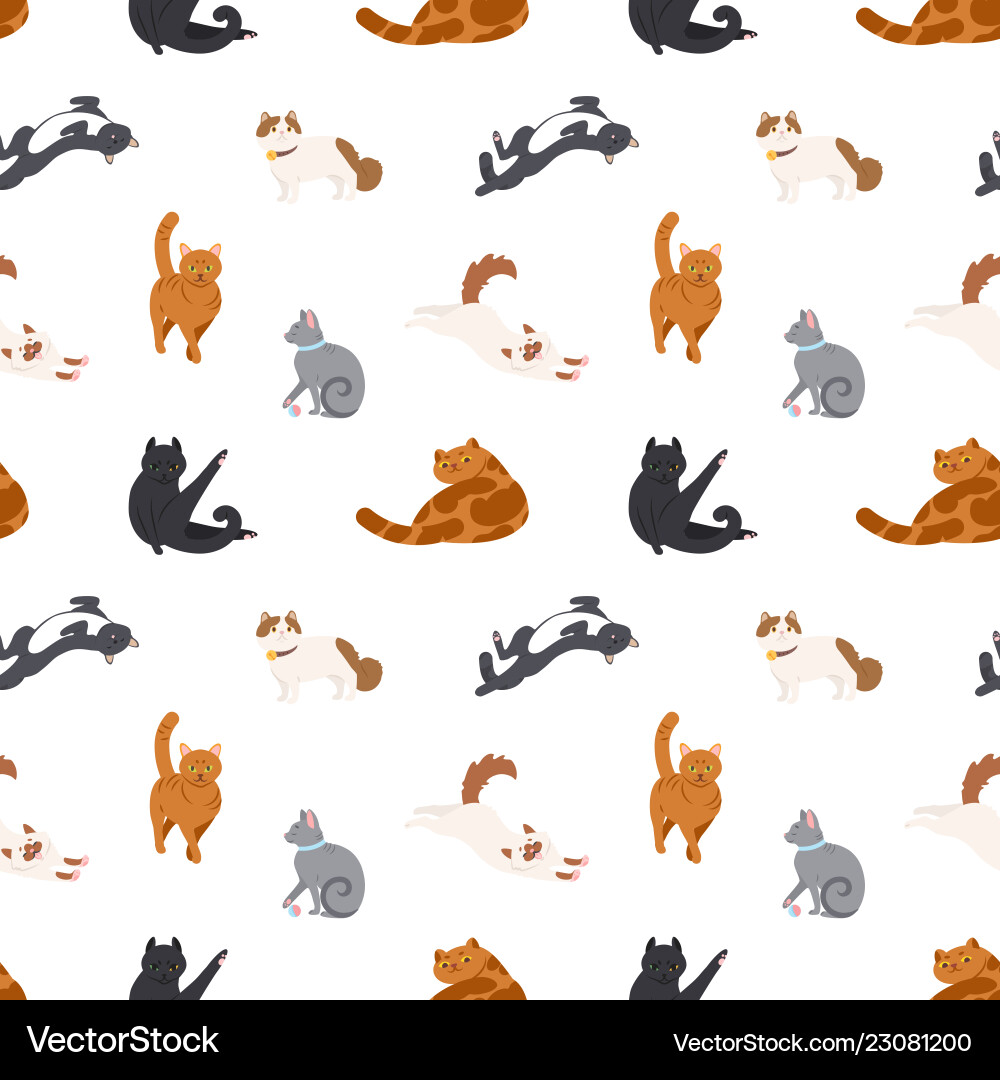 Cute Cats Seamless Pattern Vector Image