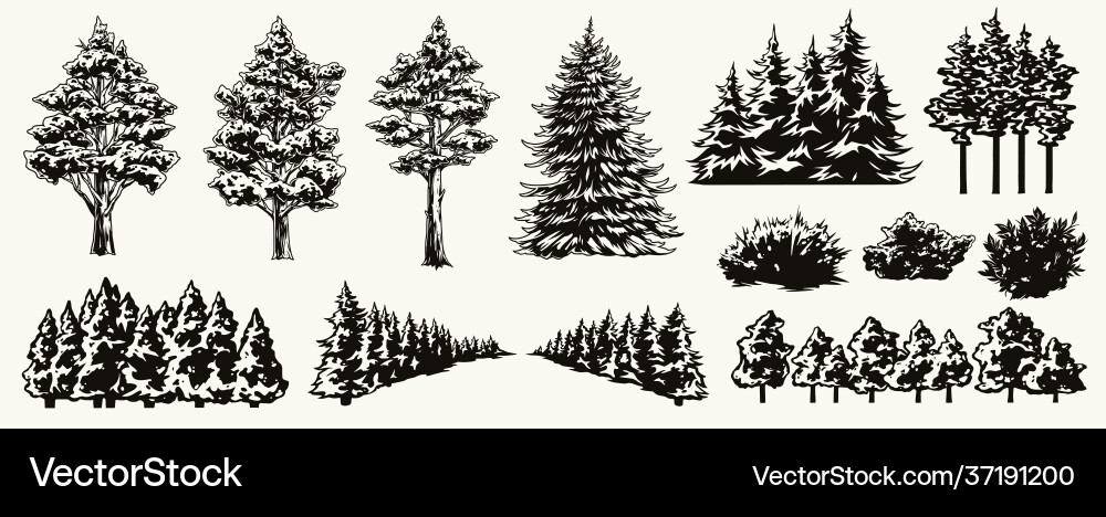 Monochrome Nature Elements Vector Image