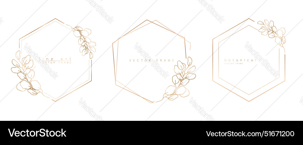 Set of hexagon frame templates in minimal linear vector image
