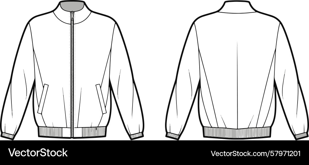 Jacket from two views front and back line art Jacket from two views front and back line art Vector Image