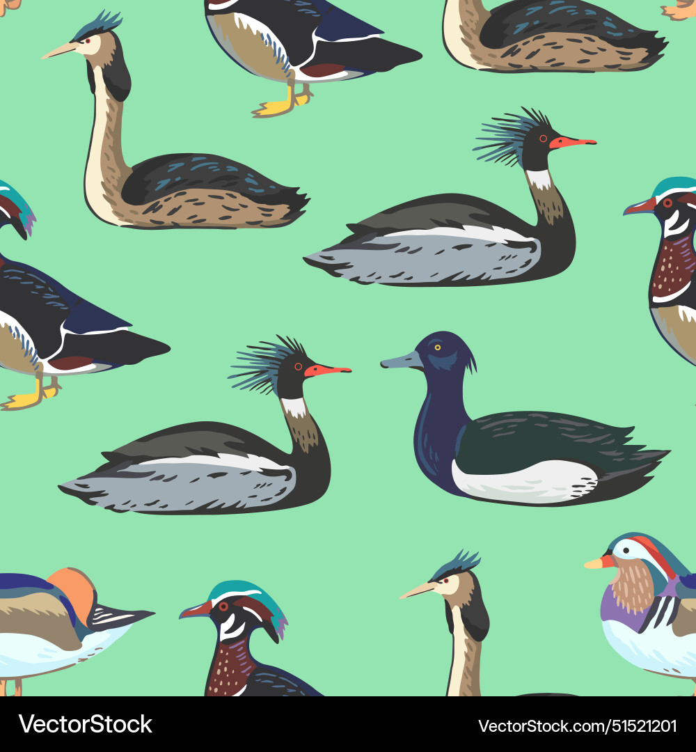 Seamless pattern with waterfowl different types Vector Image