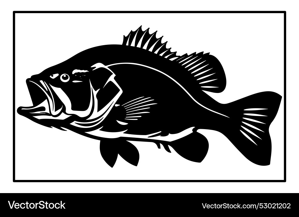 Bass fish silhouette art white background Bass fish silhouette art white background vector image