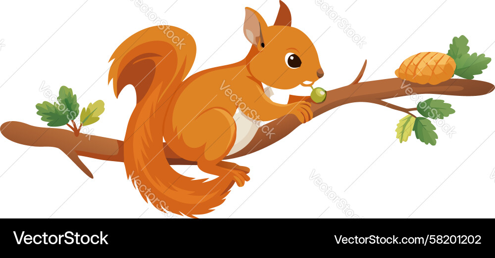 Energetic squirrel on tree branch design Vector Image