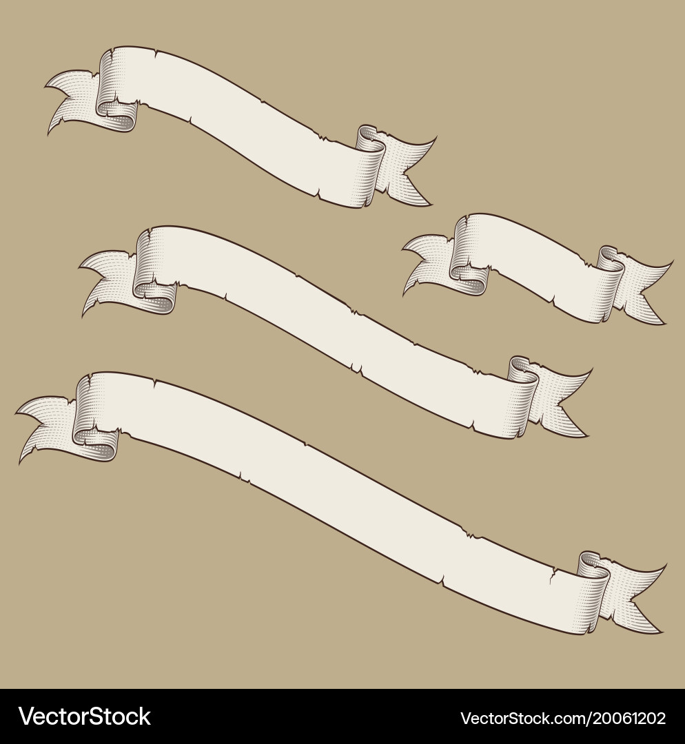 Papyrus scroll curved diagonal four sizes 4 vector image