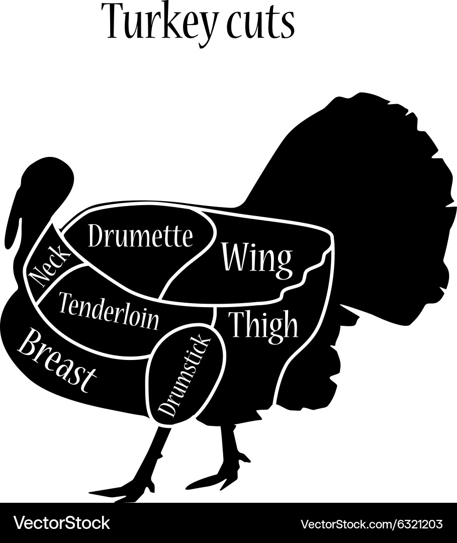 Turkey Cuts Chart - Butcher Diagram vector image