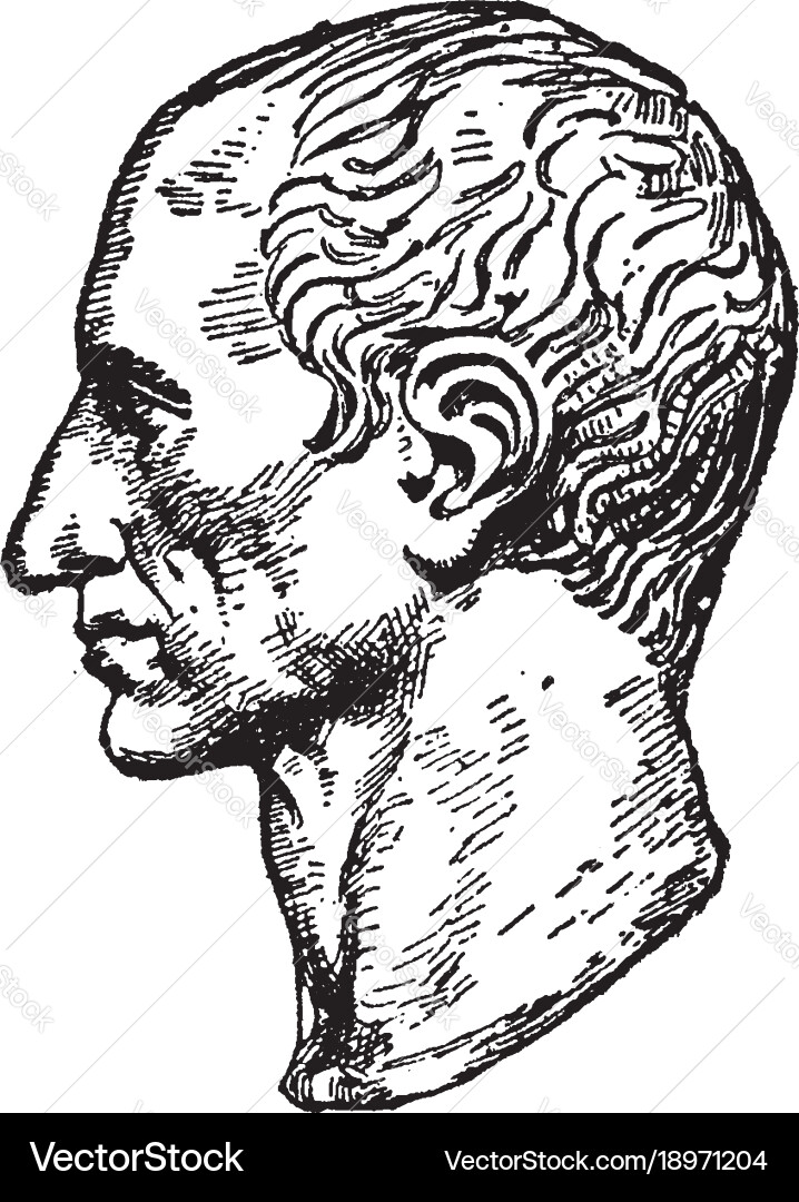 Bust of julius caesar vintage Royalty Free Vector Image